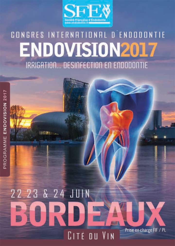Affiche Endovision 2017