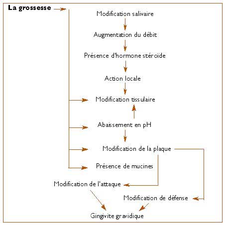 Améliorez vos compétences acheter steroide belgique