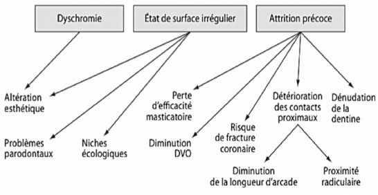 Organigramme