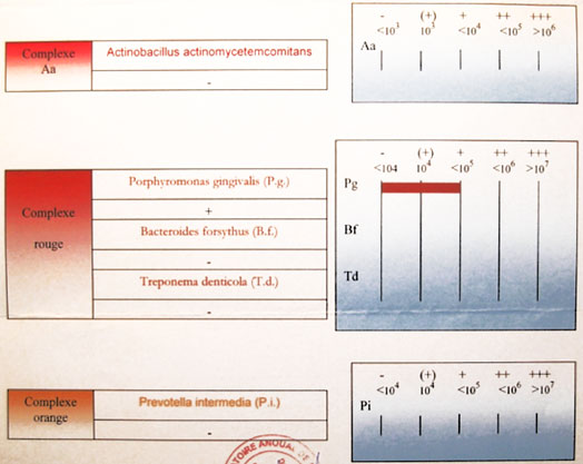 Fig.10 : Analyse microbiologique.