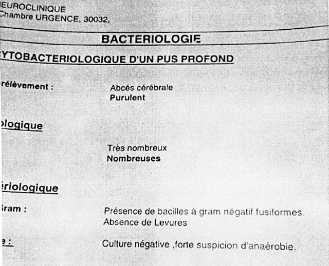Fig.4 : Résultat de l’examen cytobactériologique.