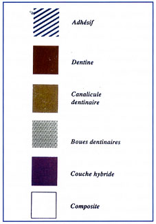 Légende Fig. 4, 5, 6, 7