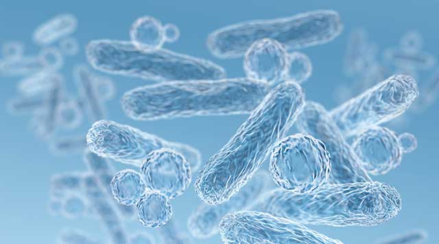 Étude du microbiome : Les bactéries responsables des maladies des gencives