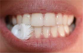 Brosse à dents à mâcher