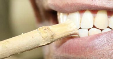 Comment utiliser le Siwak pour les dents ?