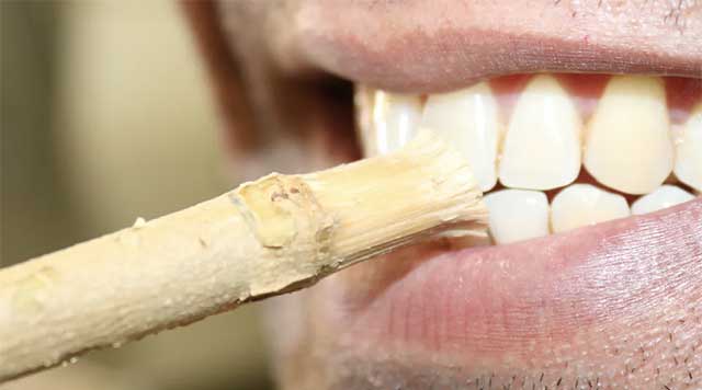 Comment utiliser le Siwak pour les dents ?