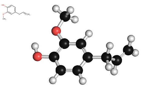 Qu'est-ce que l' Eugénol ?